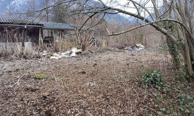 1.481m² Grundstück Bauland im Wohngebiet in Ebensee zu kaufen | Objekt 1009 | Daxner Immobilien, Ebensee am Traunsee, Bad Ischl, Salzkammergut