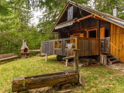 Land- / Forstwirtschaft und Hüttenromantik im steirischen Salzkammergut zu kaufen | Bad Mitterndorf | Objekt 1113 | Daxner Immobilien, Salzkammergut, Bad Ischl