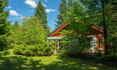 Gemütliches Einfamilienhaus auf 2.300m² Eigengrund in Ebensee am Traunsee zu kaufen | Objekt 1119 | Daxner Immobilien, Ebensee am Traunsee, Salzkammergut