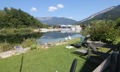 Provisionsfrei - Kleinwohnung direkt am Ufer des Traunflusses in Bad Goisern zu kaufen | Objekt 771 | Daxner Immobilien, Ebensee, Bad Ischl, Salzkammergut