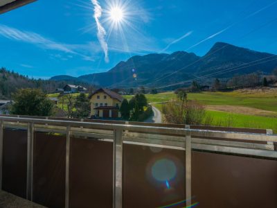 Kleinwohnung: Ungeschliffener Rohdiamant am Ortsrand von Bad Ischl | Objekt 806 | Daxner Immobilien, Ebensee, Bad Ischl, Salzkammergut