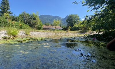 Traumhaftes Grundstück in Sonnenlage von Bad Ischl zu kaufen | Objekt 853 | Daxner Immobilien, Ebensee, Bad Ischl, Salzkammergut