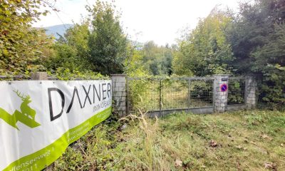 Sonniges, 2.475 m² großes und ebenes Grundstück in Roith / Ebensee am Traunsee zu kaufen | Objekt 899 | Daxner Immobilien, Ebensee, Bad Ischl, Salzkammergut