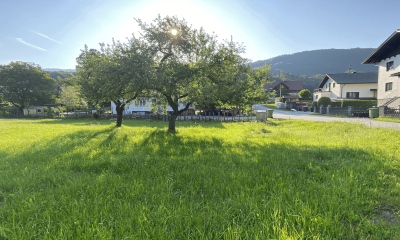 Großzügiger Baugrund in Bad Ischl zu kaufen - ein ruhiger Bauplatz für Ihr Zuhause | Objekt 902 | Daxner Immobilien, Ebensee, Bad Ischl, Salzkammergut