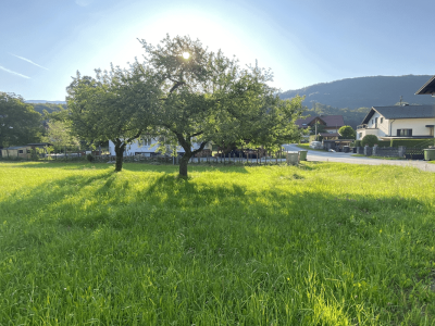 Großzügiger Baugrund in Bad Ischl zu kaufen - ein ruhiger Bauplatz für Ihr Zuhause | Objekt 902 | Daxner Immobilien, Ebensee, Bad Ischl, Salzkammergut