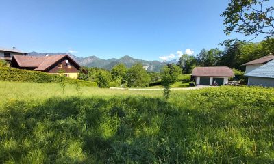 Baugrundstück in ruhiger Panoramalage über Bad Ischl zu kaufen | Objekt 947 | Daxner Immobilien, Ebensee, Bad Ischl, Salzkammergut